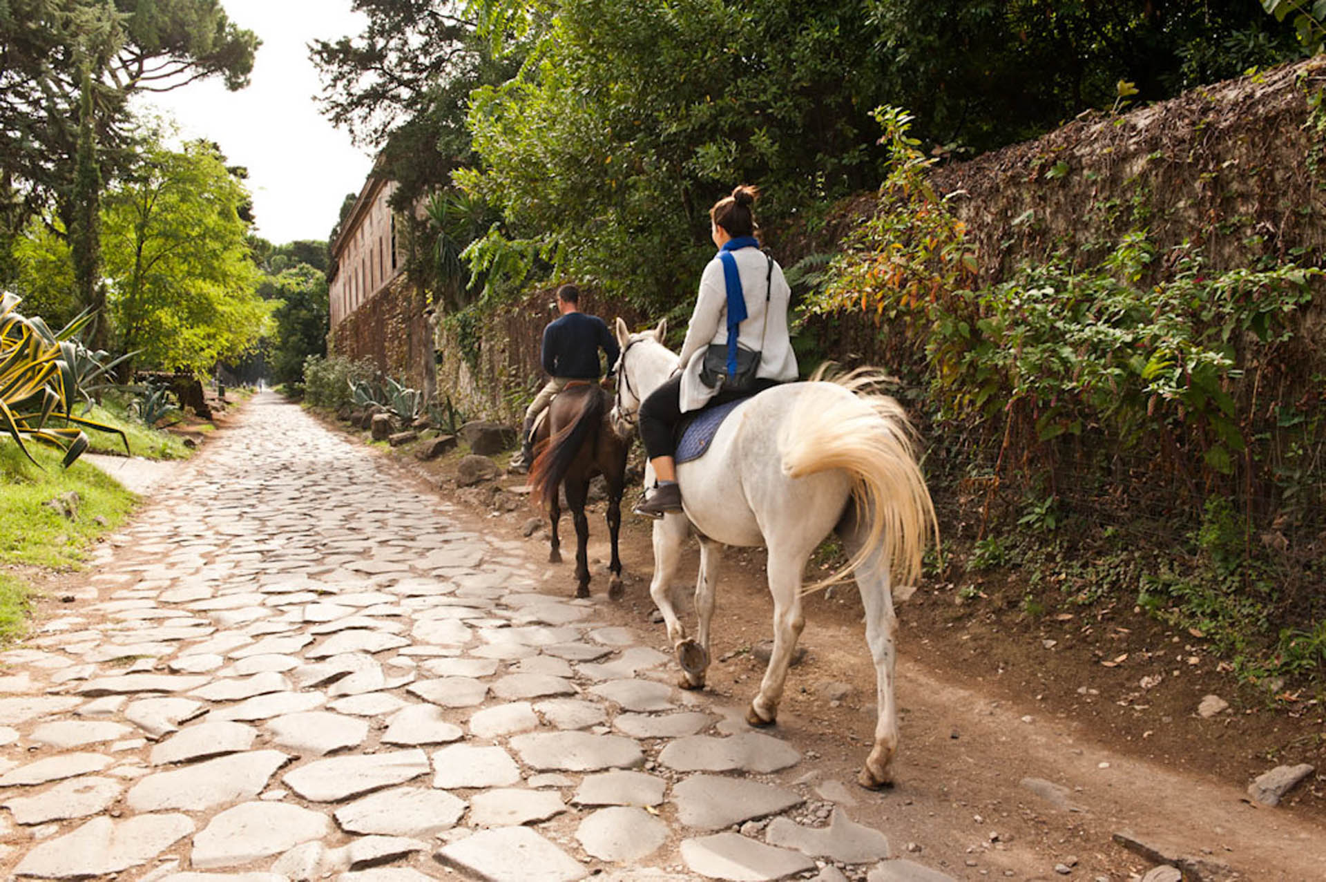 Passeggiata Cavallo Appia Antica 1