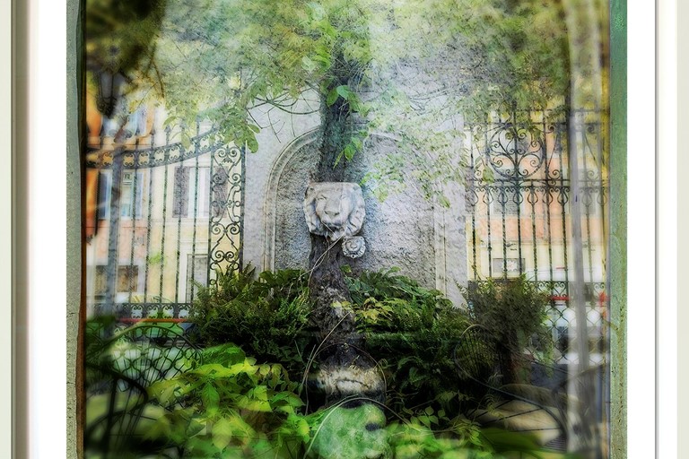 Lawrence Fodor, Roma: Locarno Garden + Hydrangea IIIB, fine art print,