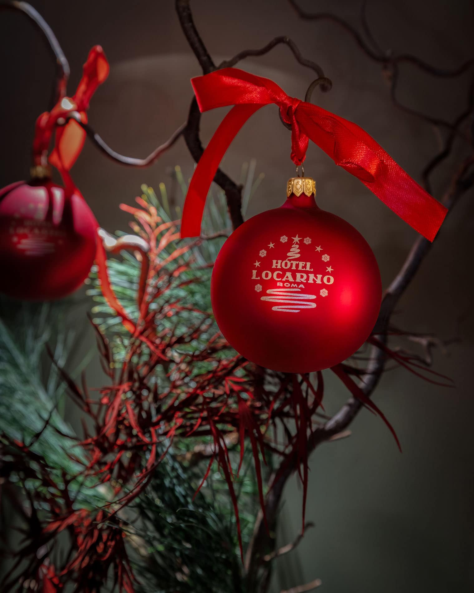 Hotel Locarno Roma NATALE Hotel Locarno Roma 1H7A8596 45 GD